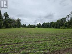 0 MARRISETT ROAD Tweed (Hungerford (Twp)), ON K0K 3H0