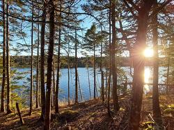 Lot 28 Helmuts Lane  Cleveland, NS B0E 1J0