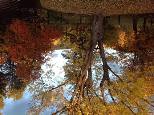 30 101 Avenue, Kimberley, BC - Outdoor With View