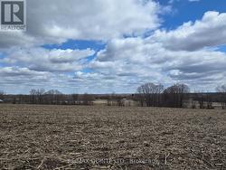 0 MARRISETT ROAD Tweed (Hungerford (Twp)), ON K0K 3H0