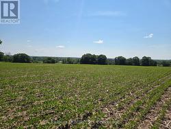 0 MARRISETT ROAD Tweed (Hungerford (Twp)), ON K0K 3H0