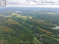 428 JEFF ROAD  North Kawartha, ON K0L 1C0