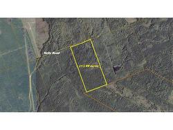 - Kelly RD  Coles Island, NB E4C 2W5