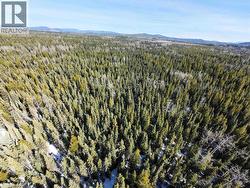 DL2743 BEAVER FOREST SERVICE ROAD Prince George, BC V2K 5C9