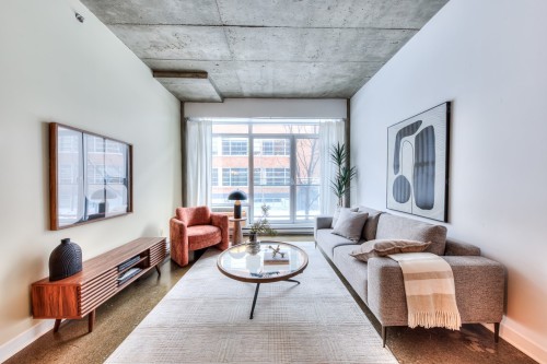 117-55 Rue Molière  Montréal (Villeray/Saint-Michel/Parc-Extension), QC H2R 1N7