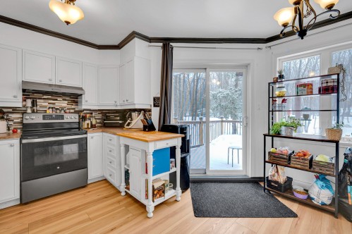 Kitchen - 163 Rue Du Boisé, Saint-Colomban, QC - Indoor Photo Showing Kitchen