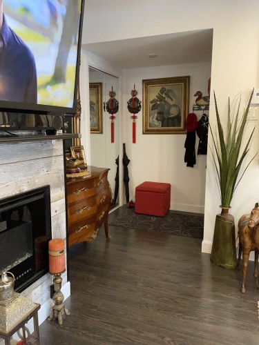 Hall d'entrée/Vestibule - 7-4420 Ch. Des Cageux, Laval (Chomedey), QC - Indoor Photo Showing Living Room With Fireplace