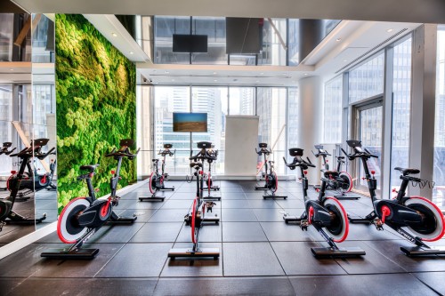 Exercise Room - 2807-720 Rue St-Jacques, Montréal (Ville-Marie), QC - Indoor Photo Showing Gym Room