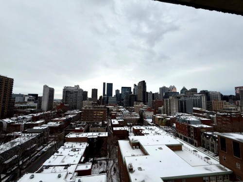 View - 1405-3550 Rue Jeanne-Mance, Montréal (Le Plateau-Mont-Royal), QC - Outdoor With View