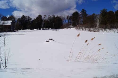 Terre/Terrain - Rue Laplante, Sutton, QC 
