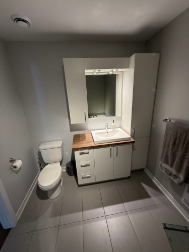 Salle de bains - 17130 Rue Jacques-Cartier, Mirabel, QC - Indoor Photo Showing Bathroom