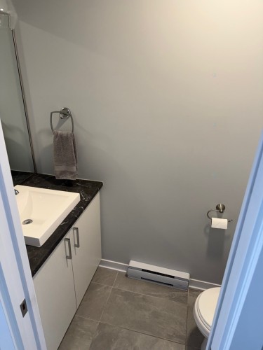 Salle d'eau - 17130 Rue Jacques-Cartier, Mirabel, QC - Indoor Photo Showing Bathroom