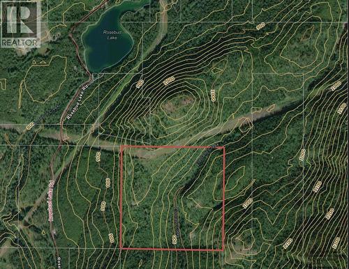 549 Rosebud Lake Road, Salmo, BC 
