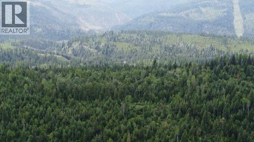 549 Rosebud Lake Road, Salmo, BC 