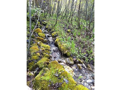 549 Rosebud Lake Road, Salmo, BC 