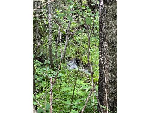 549 Rosebud Lake Road, Salmo, BC 