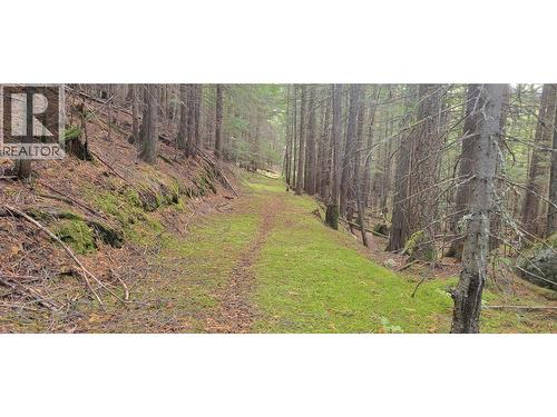 549 Rosebud Lake Road, Salmo, BC 