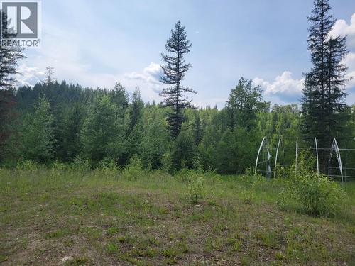 549 Rosebud Lake Road, Salmo, BC 