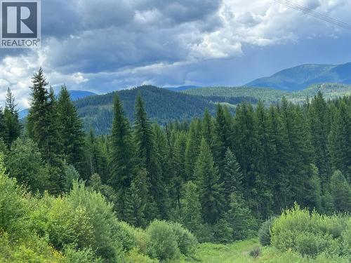 549 Rosebud Lake Road, Salmo, BC 