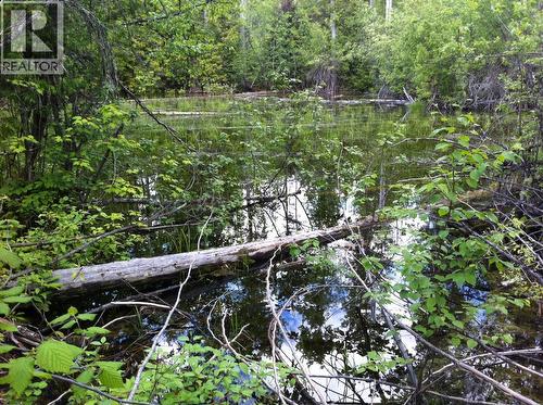 549 Rosebud Lake Road, Salmo, BC 