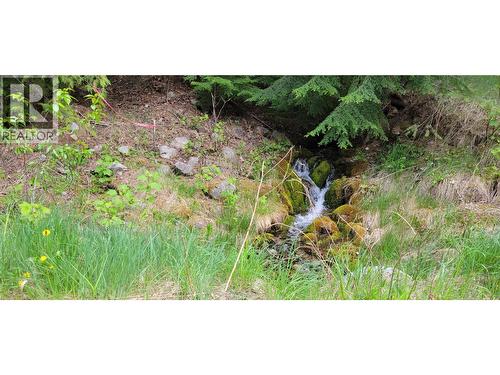 549 Rosebud Lake Road, Salmo, BC 