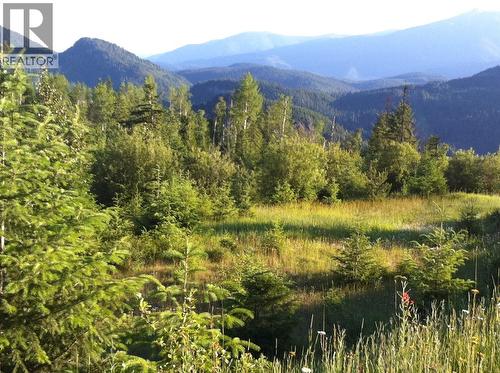 549 Rosebud Lake Road, Salmo, BC 
