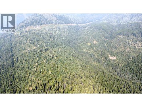 549 Rosebud Lake Road, Salmo, BC 