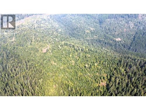 549 Rosebud Lake Road, Salmo, BC 