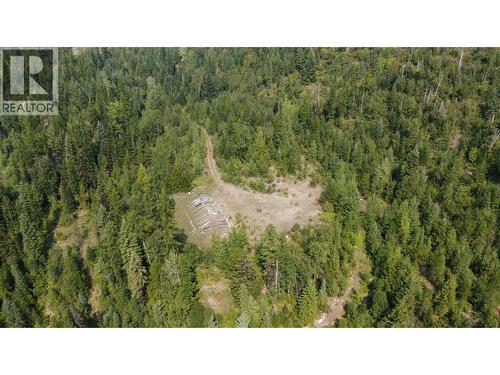 549 Rosebud Lake Road, Salmo, BC 