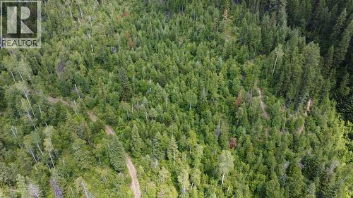 549 Rosebud Lake Road, Salmo, BC 