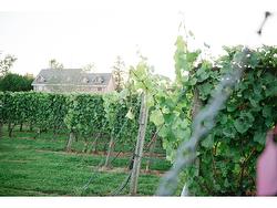 3033 232 STREET  Langley, BC V2Z 3A8