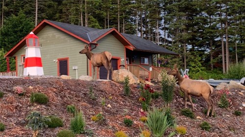 805 Lanqvist Rd, Hyde Creek, BC 