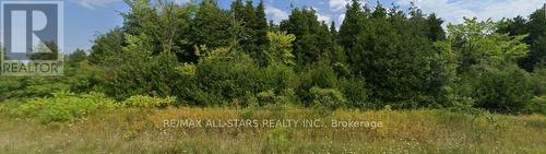 950 Concession 5, Brock, ON 