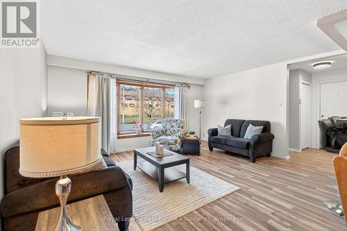 503 Stone Church Road W, Hamilton, ON - Indoor Photo Showing Living Room