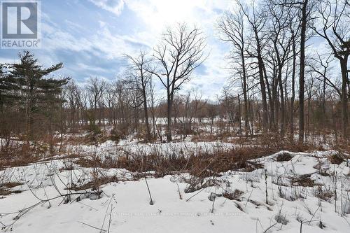 846 Chaucer Avenue, Mississauga, ON 