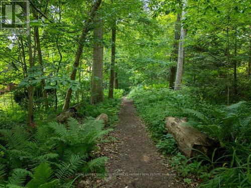 846 Chaucer Avenue, Mississauga, ON 