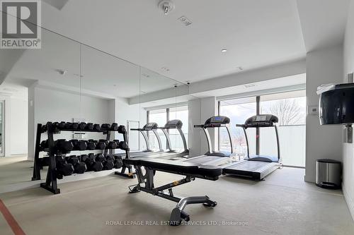310 - 1195 The Queensway, Toronto, ON - Indoor Photo Showing Gym Room