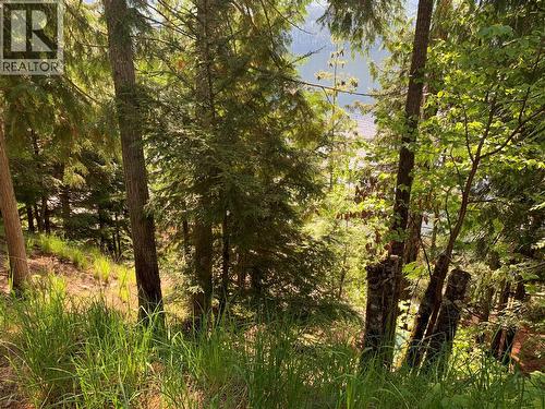 28 Simard Road, Mabel Lake, BC - Outdoor With View