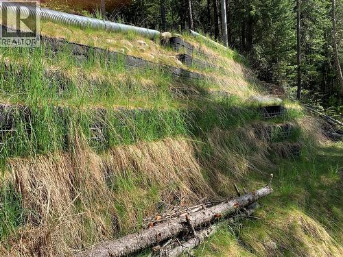 28 Simard Road, Mabel Lake, BC - Outdoor With View