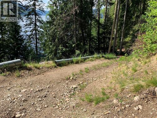 28 Simard Road, Mabel Lake, BC - Outdoor