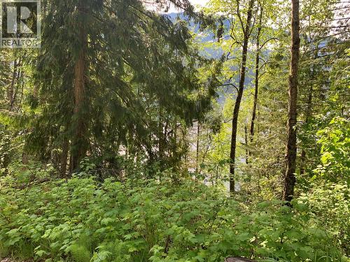 28 Simard Road, Mabel Lake, BC - Outdoor