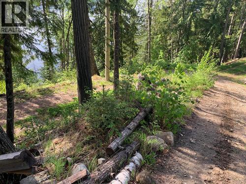 28 Simard Road, Mabel Lake, BC - Outdoor