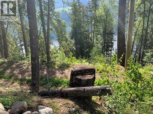 28 Simard Road, Mabel Lake, BC - Outdoor