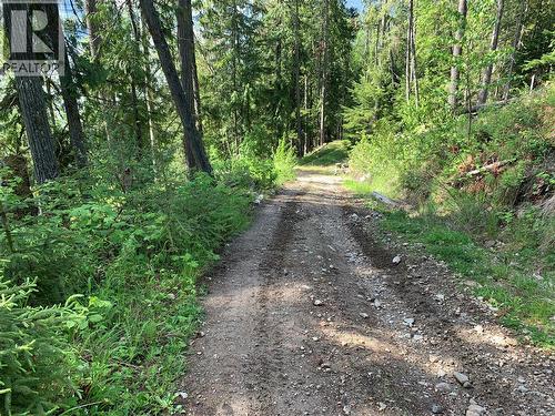 28 Simard Road, Mabel Lake, BC - Outdoor