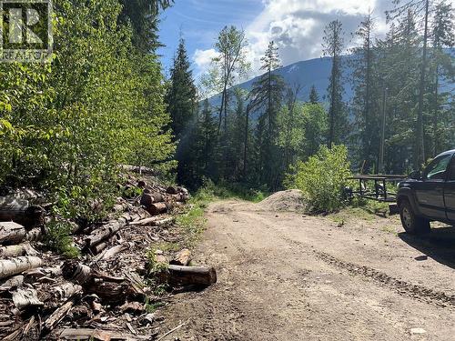 28 Simard Road, Mabel Lake, BC - Outdoor