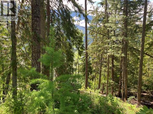 28 Simard Road, Mabel Lake, BC - Outdoor With View