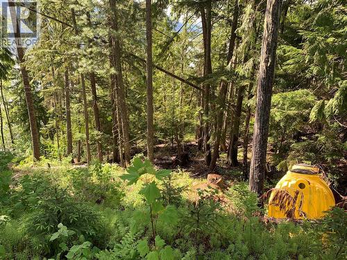 28 Simard Road, Mabel Lake, BC - Outdoor
