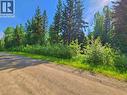 2096 Blacklock Road, Quesnel, BC 