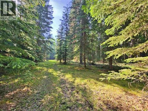 2096 Blacklock Road, Quesnel, BC 