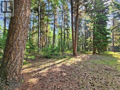 2096 Blacklock Road, Quesnel, BC 